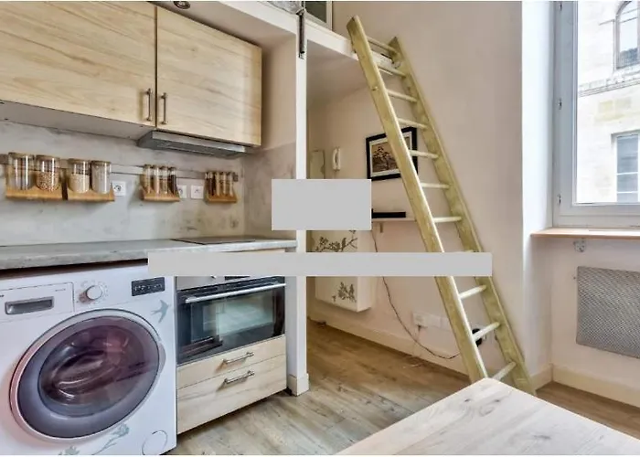 Coquet Proche Tram Et Quais *